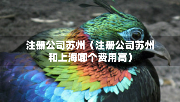 注册公司苏州（注册公司苏州和上海哪个费用高）