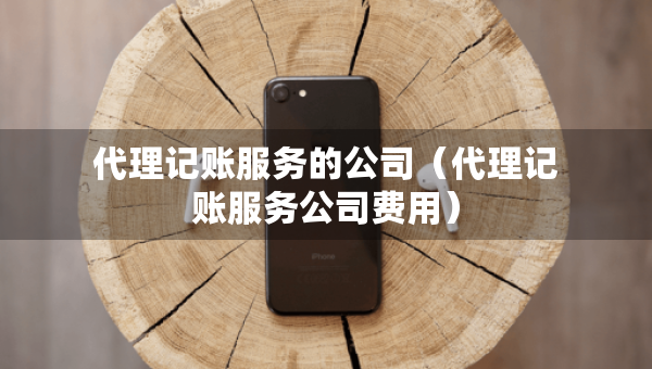 代理记账服务的公司（代理记账服务公司费用）