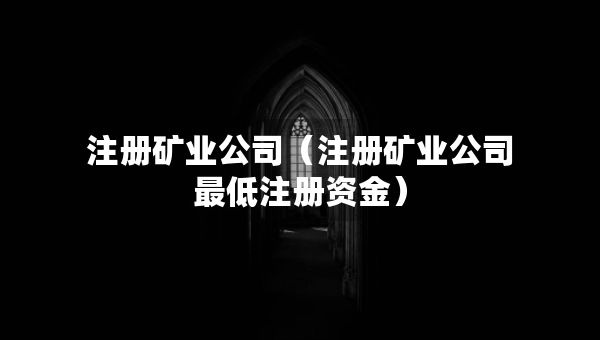 注册矿业公司（注册矿业公司最低注册资金）