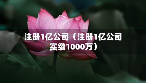 注册1亿公司（注册1亿公司实缴1000万）