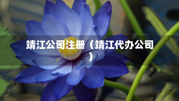 靖江公司注册（靖江代办公司）