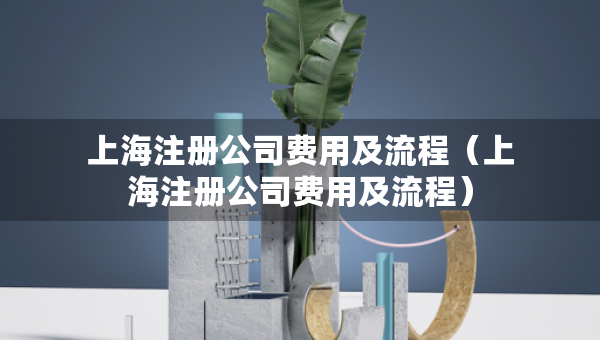 上海注册公司费用及流程（上海注册公司费用及流程）