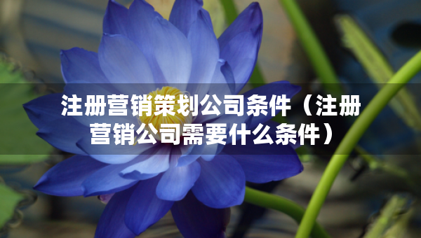 注册营销策划公司条件（注册营销公司需要什么条件）