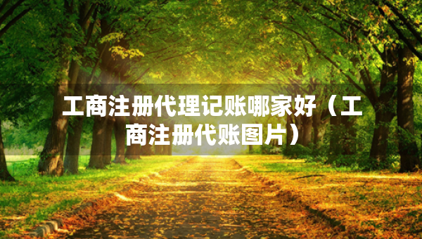 工商注册代理记账哪家好（工商注册代账图片）
