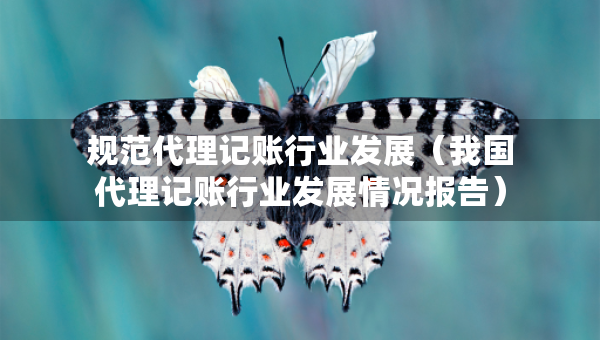 规范代理记账行业发展（我国代理记账行业发展情况报告）
