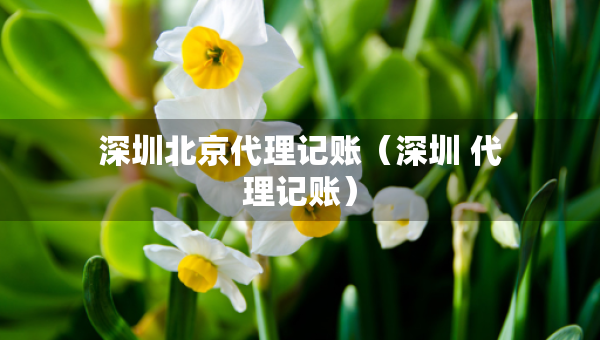 深圳北京代理记账（深圳 代理记账）