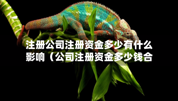 注册公司注册资金多少有什么影响（公司注册资金多少钱合理）