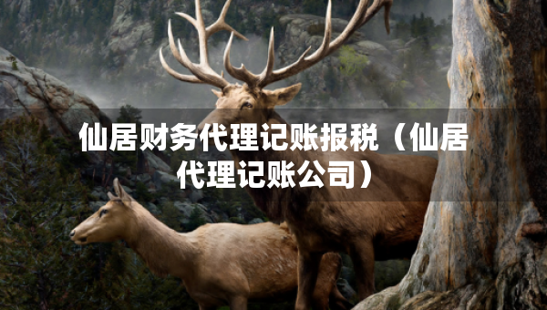 仙居财务代理记账报税（仙居代理记账公司）