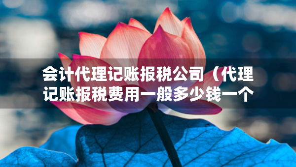会计代理记账报税公司（代理记账报税费用一般多少钱一个月）