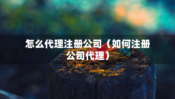 怎么代理注册公司（如何注册公司代理）