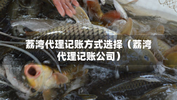 荔湾代理记账方式选择（荔湾代理记账公司）