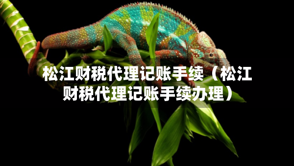 松江财税代理记账手续（松江财税代理记账手续办理）