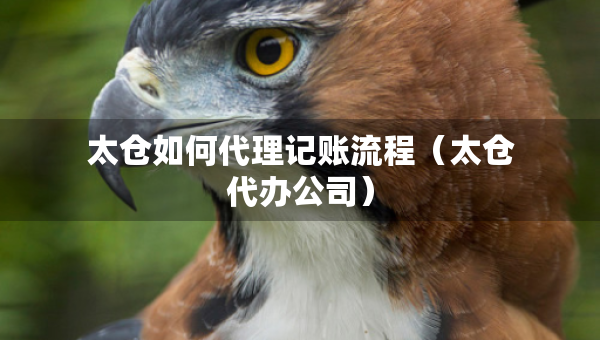 太仓如何代理记账流程（太仓代办公司）
