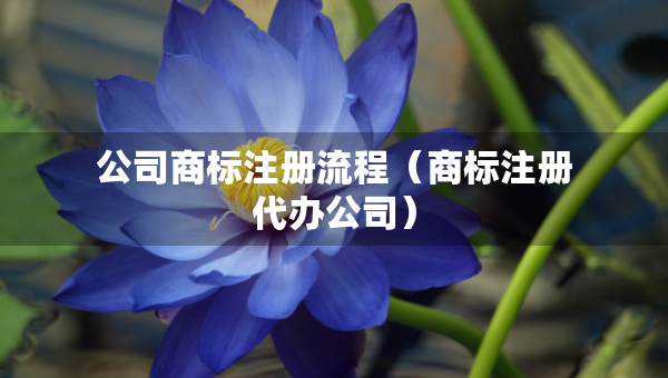 公司商标注册流程（商标注册代办公司）
