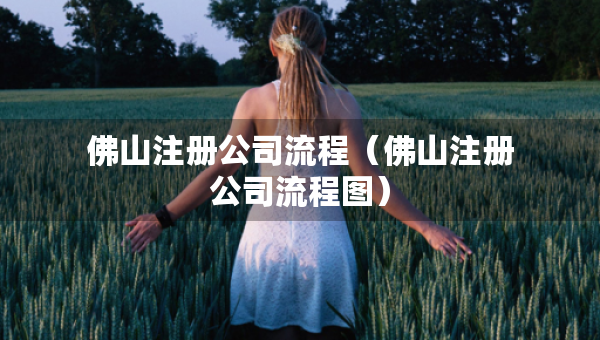 佛山注册公司流程（佛山注册公司流程图）