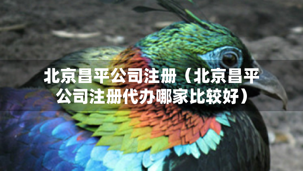 北京昌平公司注册（北京昌平公司注册代办哪家比较好）