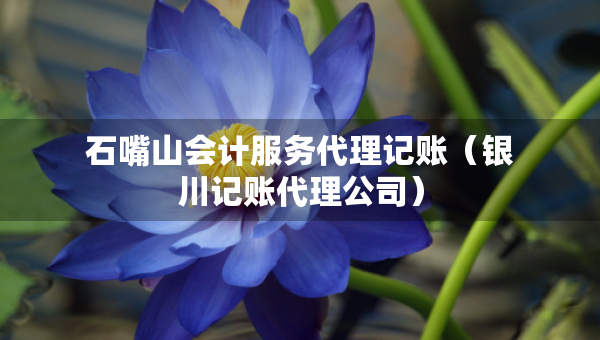 石嘴山会计服务代理记账（银川记账代理公司）