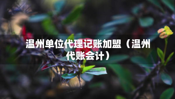 温州单位代理记账加盟（温州代账会计）