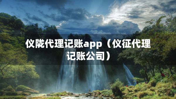 仪陇代理记账app（仪征代理记账公司）