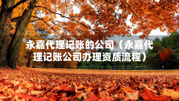 永嘉代理记账的公司（永嘉代理记账公司办理资质流程）