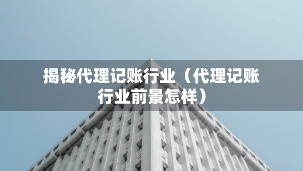 揭秘代理记账行业（代理记账行业前景怎样）