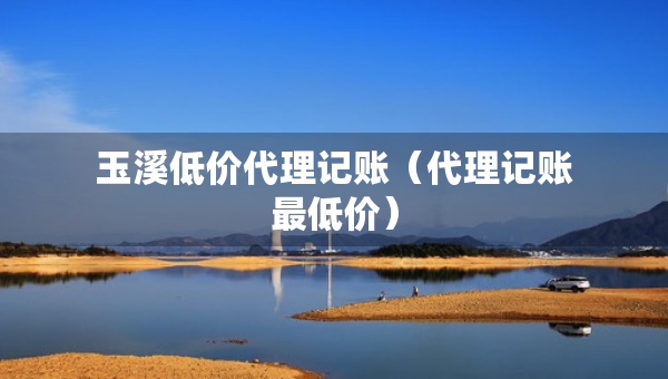 玉溪低价代理记账（代理记账最低价）