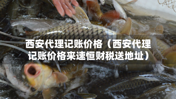 西安代理记账价格（西安代理记账价格来速恒财税送地址）