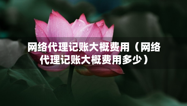 网络代理记账大概费用（网络代理记账大概费用多少）