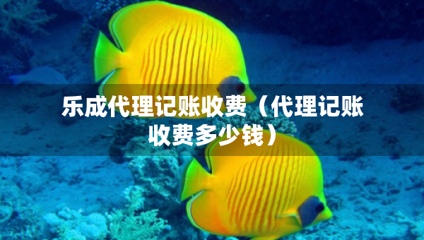 乐成代理记账收费（代理记账收费多少钱）
