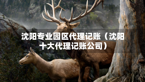 沈阳专业园区代理记账（沈阳十大代理记账公司）