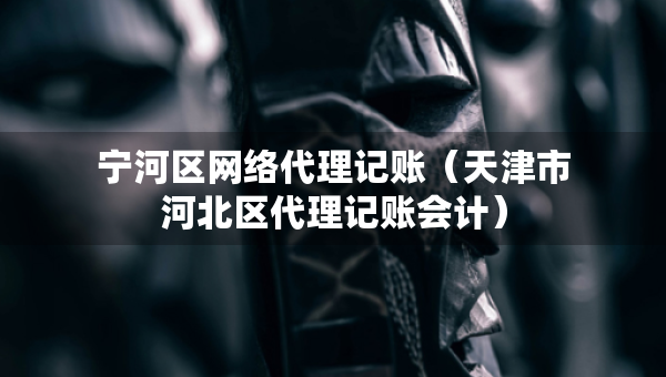 宁河区网络代理记账（天津市河北区代理记账会计）