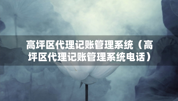 高坪区代理记账管理系统（高坪区代理记账管理系统电话）