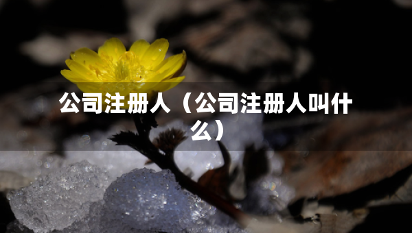公司注册人（公司注册人叫什么）