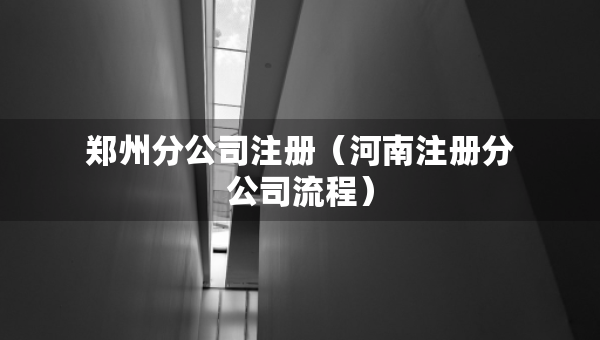 郑州分公司注册（河南注册分公司流程）
