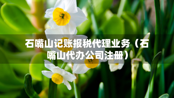 石嘴山记账报税代理业务（石嘴山代办公司注册）