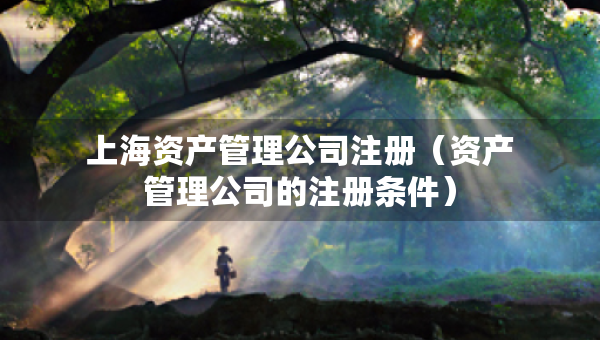 上海资产管理公司注册（资产管理公司的注册条件）