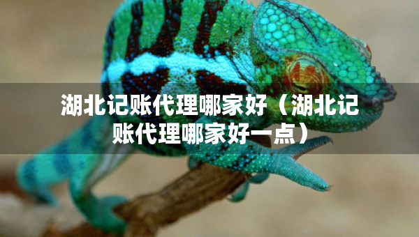 湖北记账代理哪家好（湖北记账代理哪家好一点）