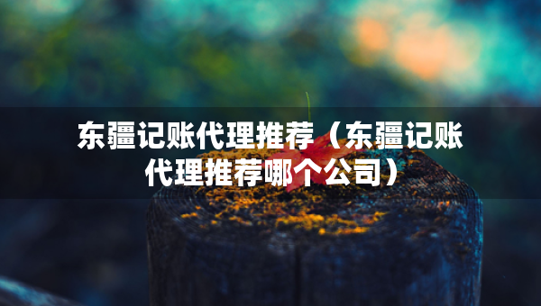 东疆记账代理推荐（东疆记账代理推荐哪个公司）