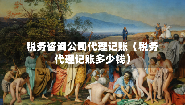 税务咨询公司代理记账（税务代理记账多少钱）