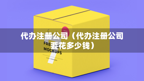 代办注册公司（代办注册公司要花多少钱）
