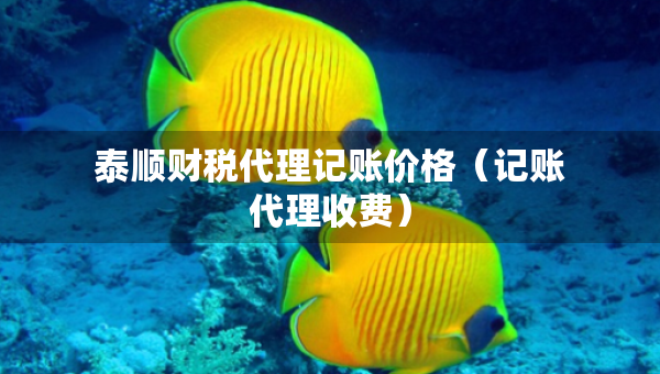 泰顺财税代理记账价格（记账代理收费）