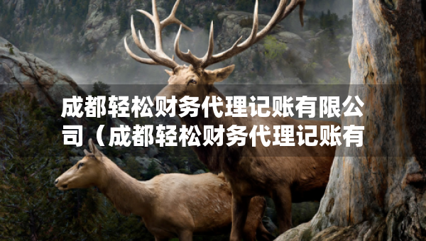 成都轻松财务代理记账有限公司（成都轻松财务代理记账有限公司电话）