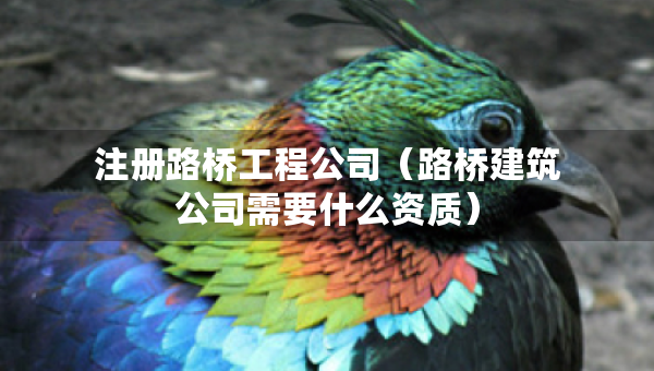 注册路桥工程公司（路桥建筑公司需要什么资质）