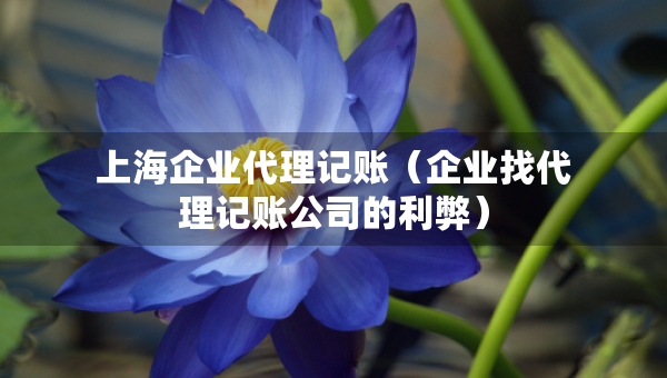 上海企业代理记账（企业找代理记账公司的利弊）