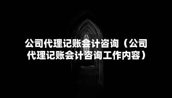 公司代理记账会计咨询（公司代理记账会计咨询工作内容）