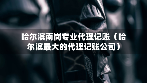 哈尔滨南岗专业代理记账（哈尔滨最大的代理记账公司）