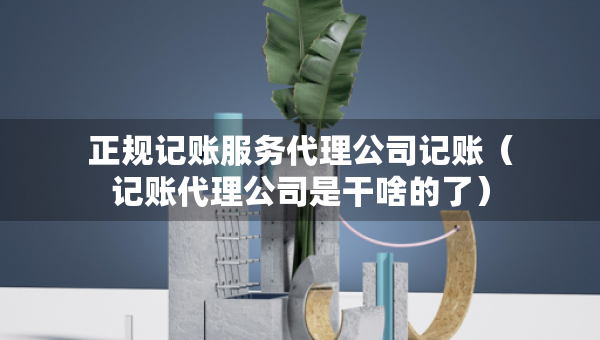 正规记账服务代理公司记账（记账代理公司是干啥的了）