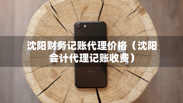 沈阳财务记账代理价格（沈阳会计代理记账收费）