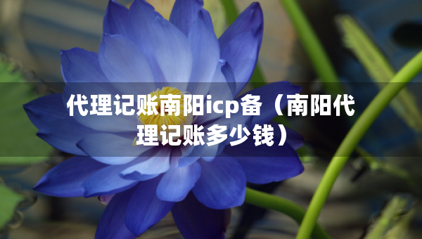 代理记账南阳icp备（南阳代理记账多少钱）