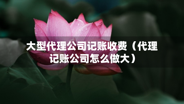 大型代理公司记账收费（代理记账公司怎么做大）